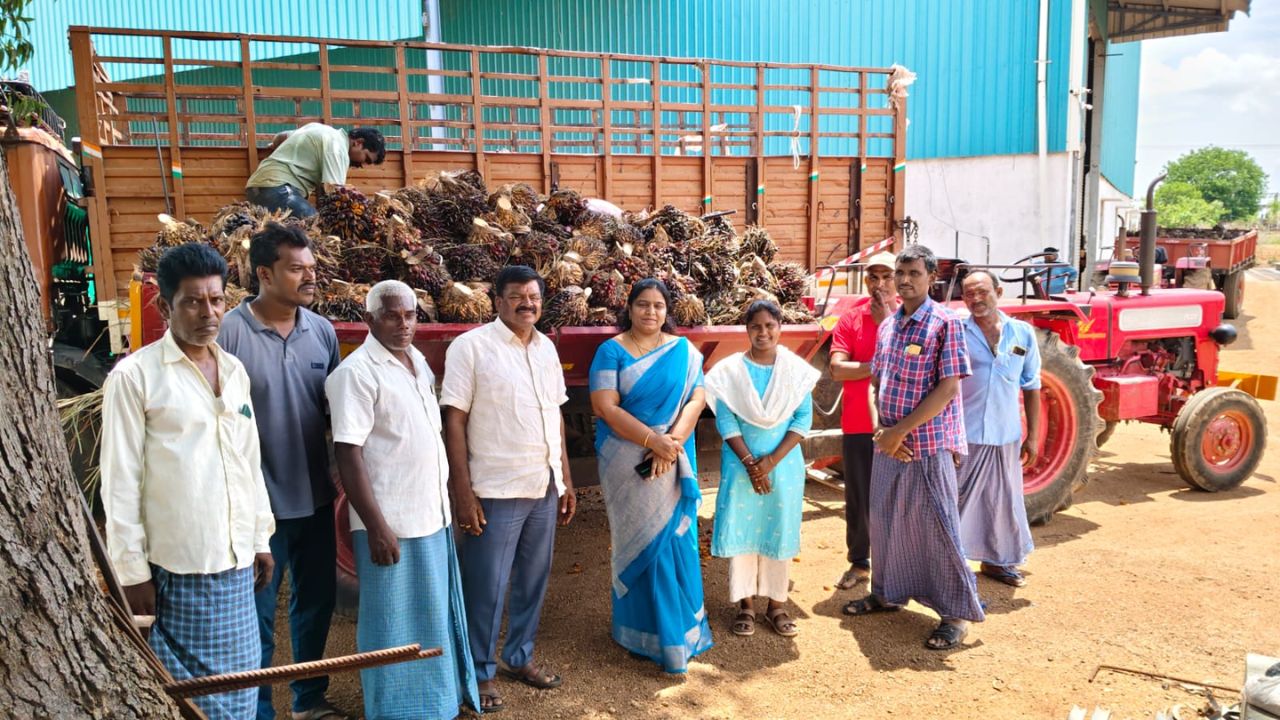 ganneruvaram-farmers-oil-palm-harvest-narmetta-factory
