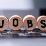 Latest Government and Private Job Notifications