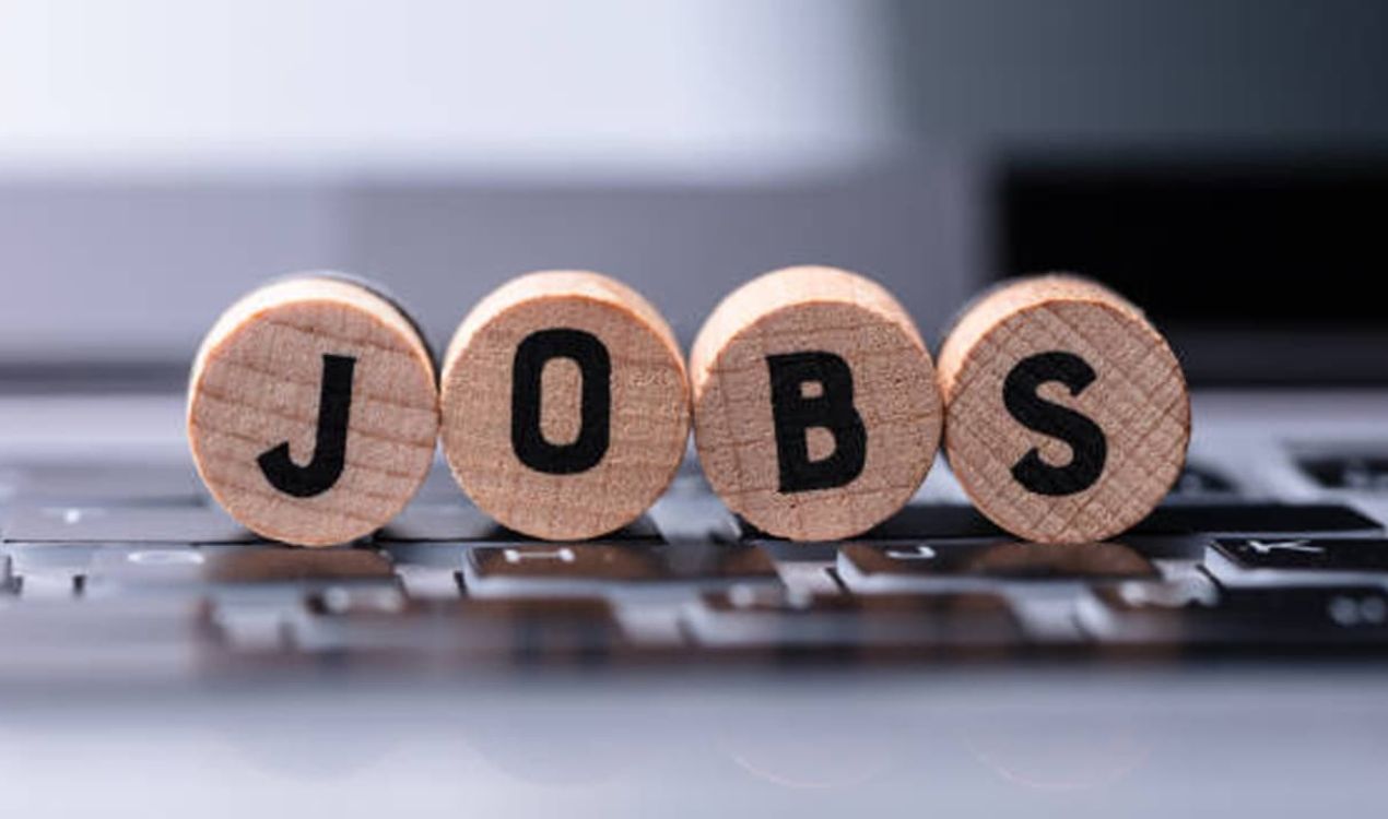 Latest Government and Private Job Notifications
