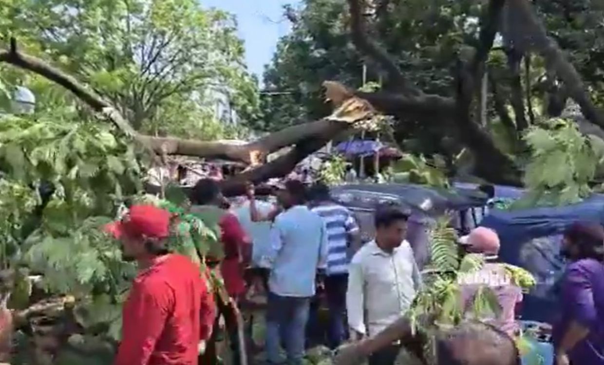 హన్మకొండలో భారీ ప్రమాదం.. బస్సుపై కూలిన వృక్షం.. నుజ్జునుజ్జయిన వాహనాలు!