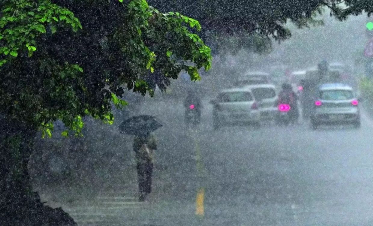 Rain Alert