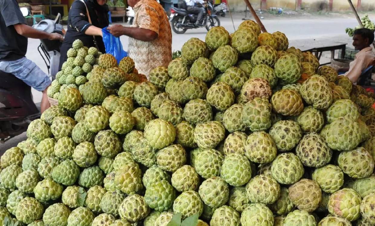 Custard Apple