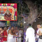 Dasara Celebrations