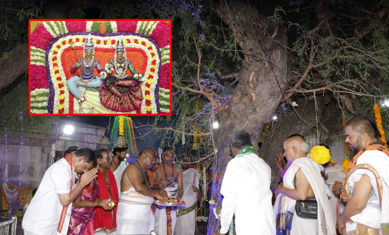 Dasara Celebrations