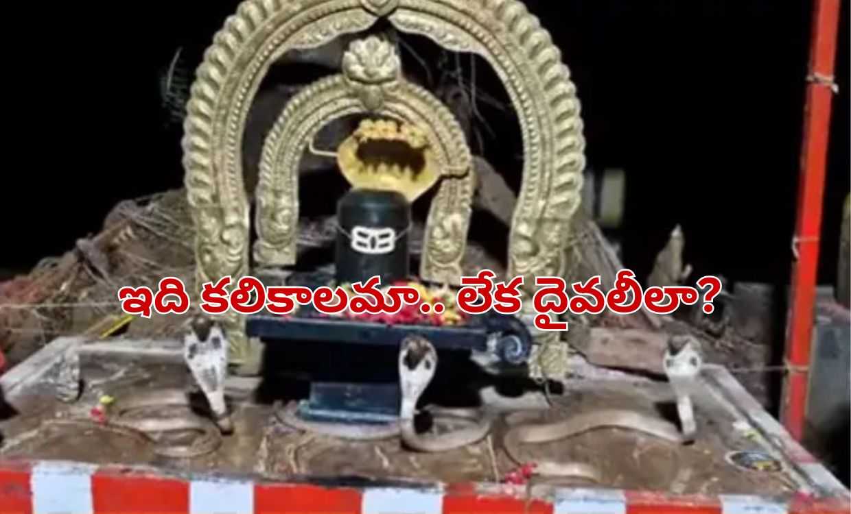 Nellore Temple