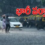 Rain Alert