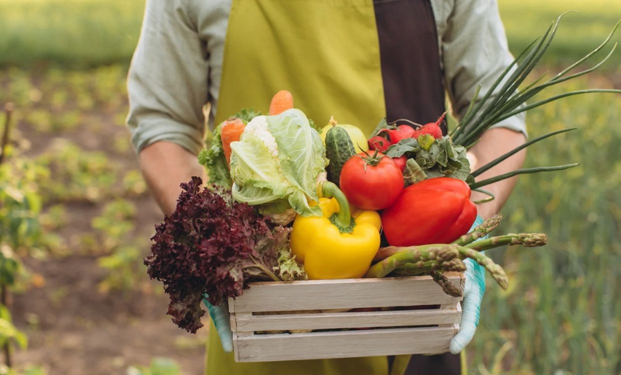 Organic Food